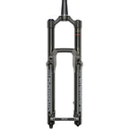 Domain RC Suspension Fork