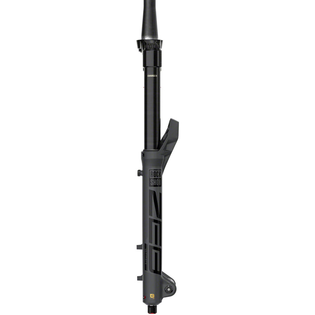 ZEB Ultimate Charger 3.1 RC2 Suspension Fork