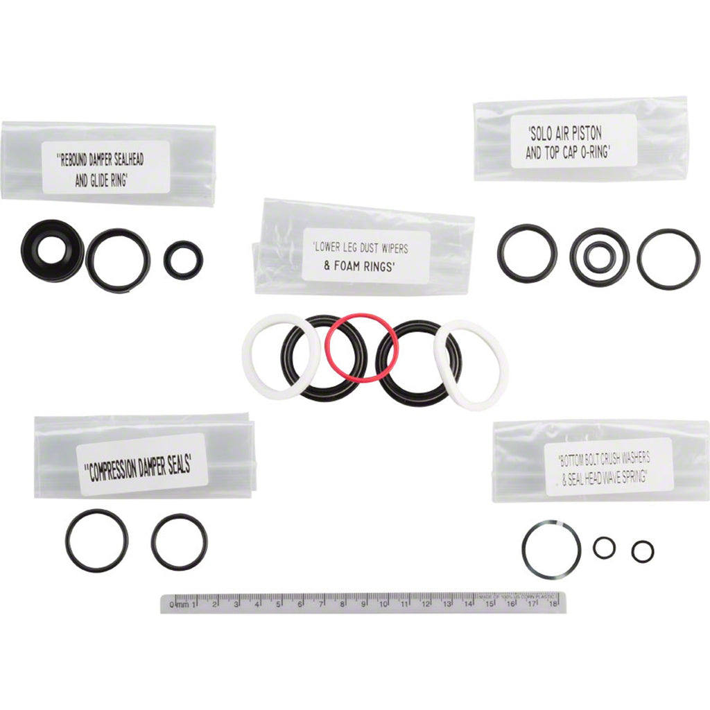 200 Hour Fork Service Kit