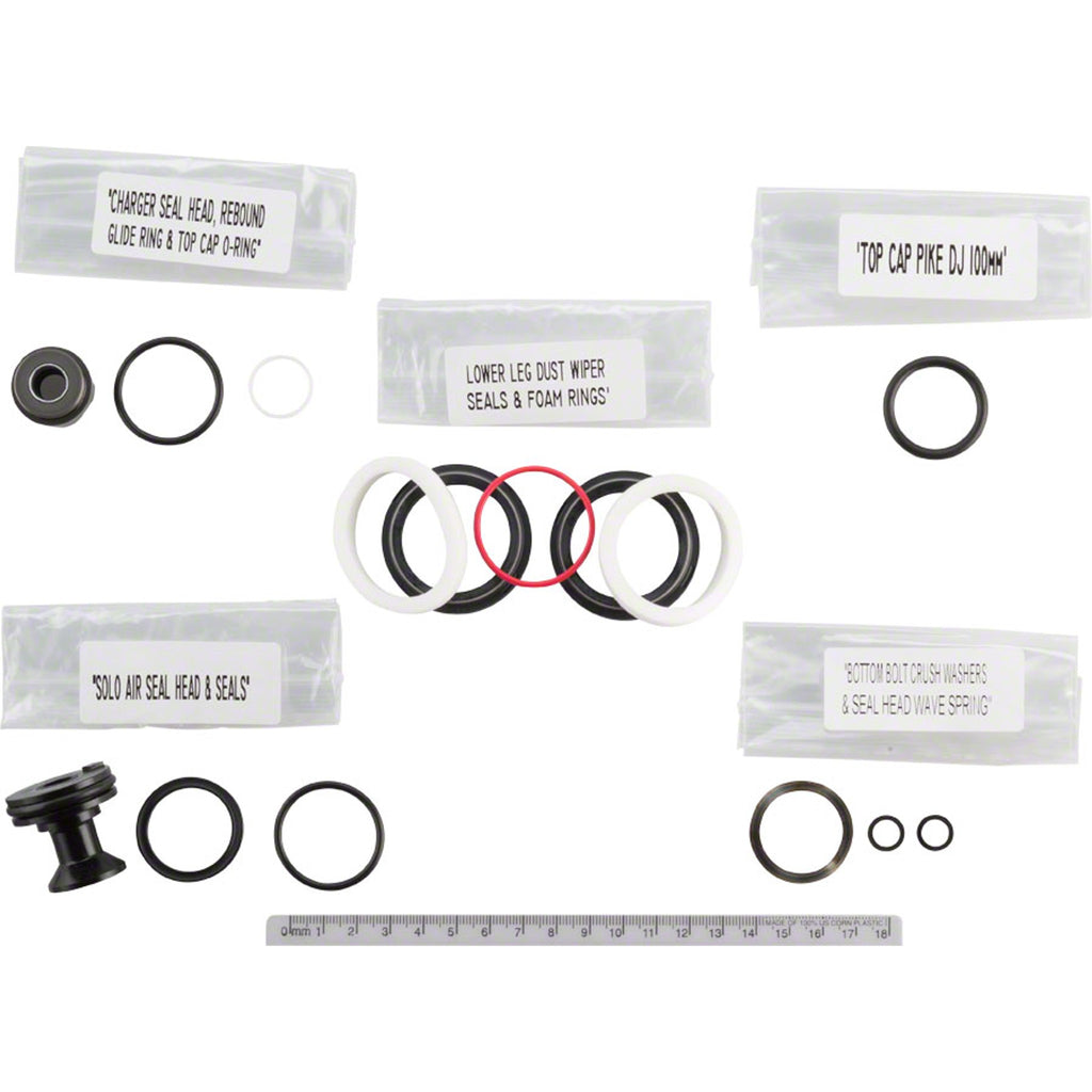 200 Hour Fork Service Kit