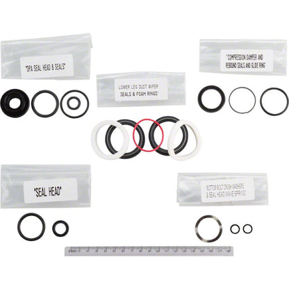 200 Hour Fork Service Kit