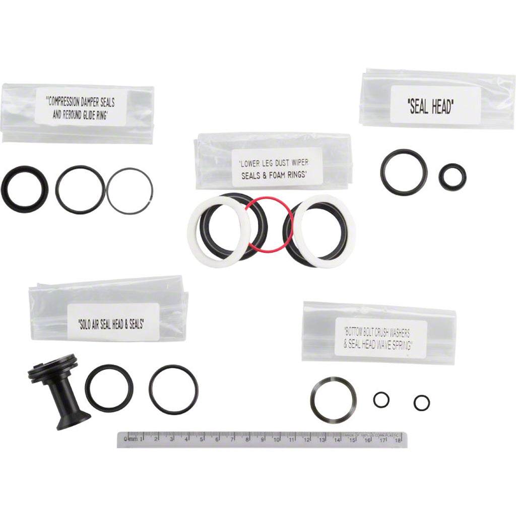 200 Hour Fork Service Kit