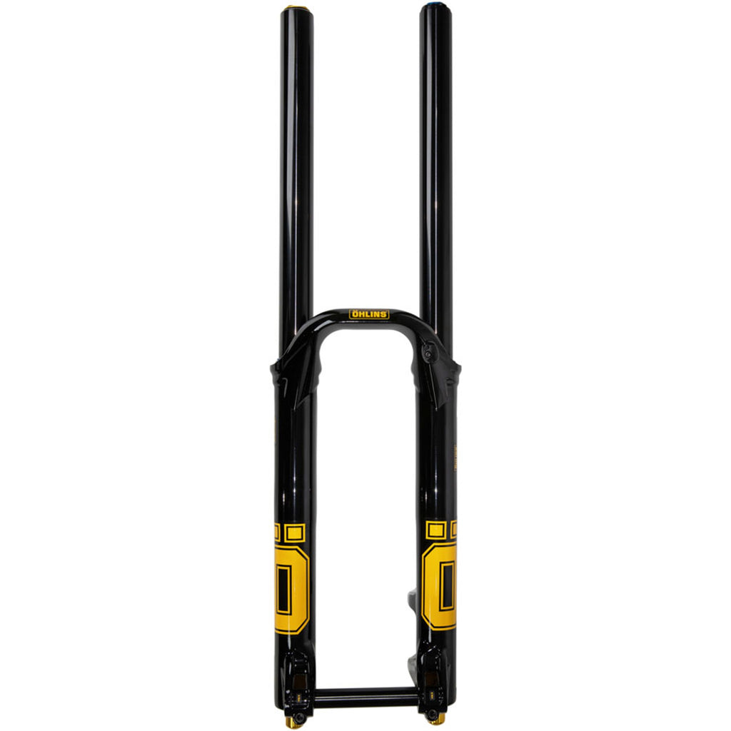 DH38 m.2 Suspension Fork