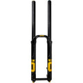DH38 m.2 Suspension Fork