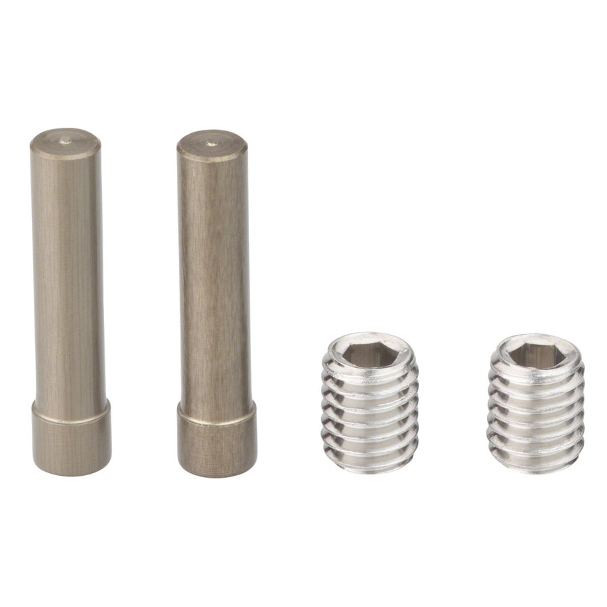 Chain Tensioner Set (2 Screws + 2Pins)