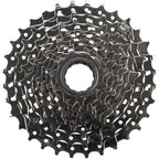 Multi-Speed Freewheels
