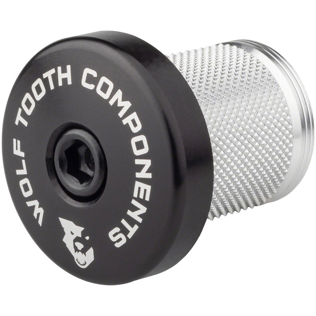 Compression Plug With Integrated Spacer Stem Cap