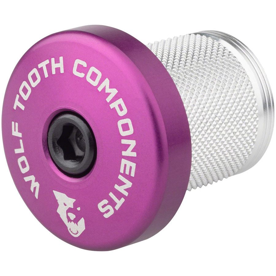 Compression Plug With Integrated Spacer Stem Cap