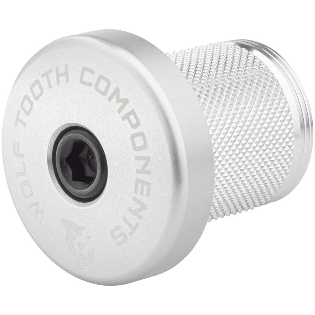 Compression Plug With Integrated Spacer Stem Cap
