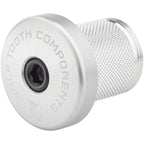 Compression Plug With Integrated Spacer Stem Cap