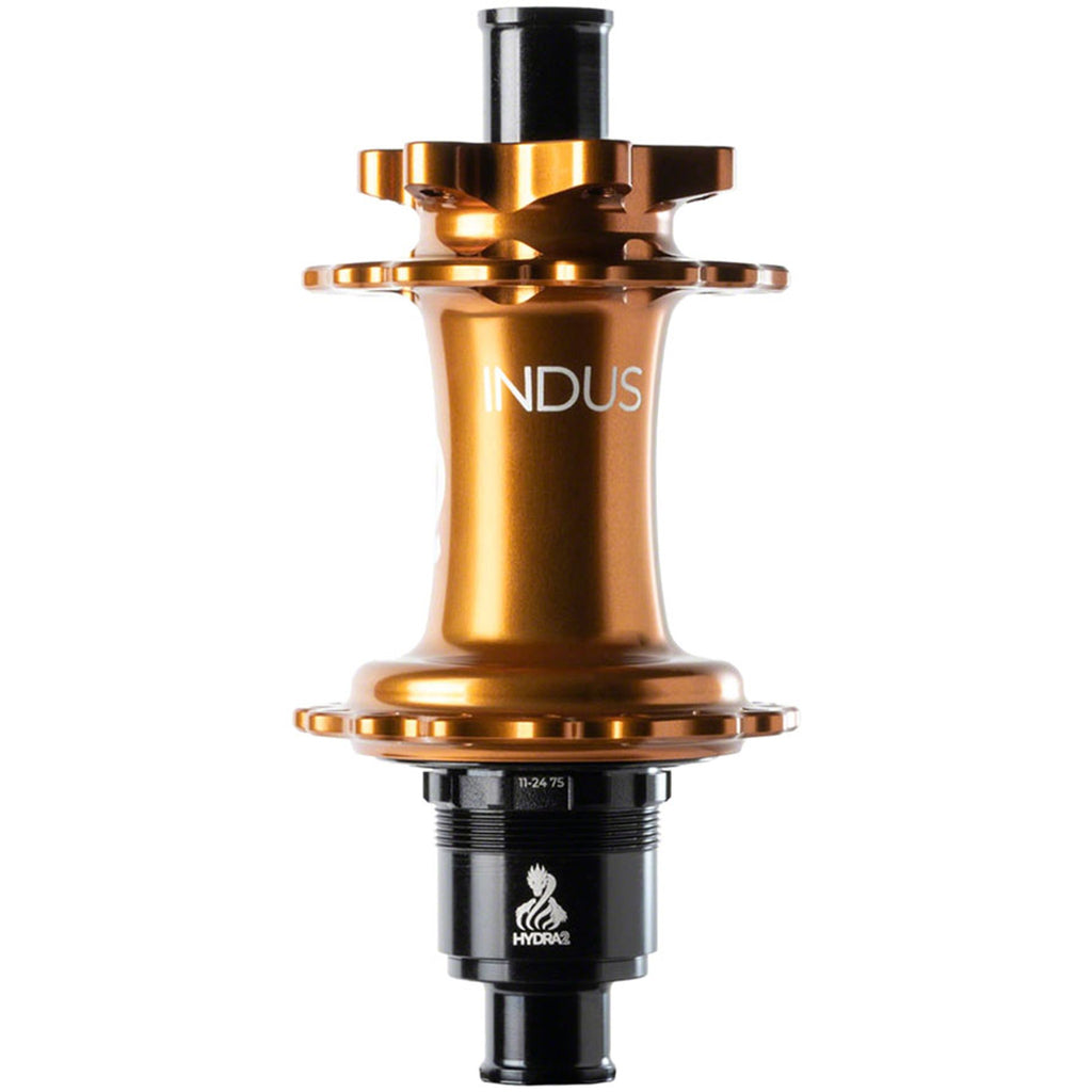 Hydra 2 Classic Rear Hub - Hydra 2 Classic Rear Hub - Hydra 2 Classic Rear Hub
