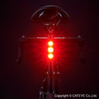 ViZ450 Taillight