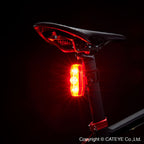 ViZ300 Taillight
