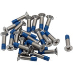 Cleat Screws