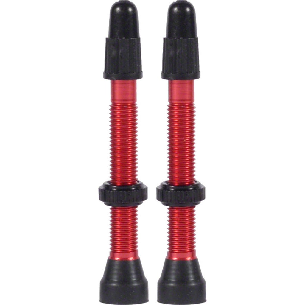 TCS Tubeless Valves