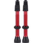 TCS Tubeless Valves