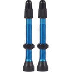 TCS Tubeless Valves