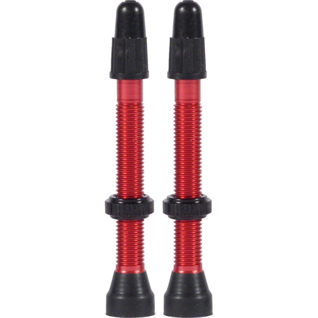 TCS Tubeless Valves
