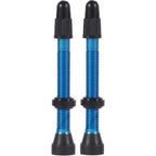 TCS Tubeless Valves