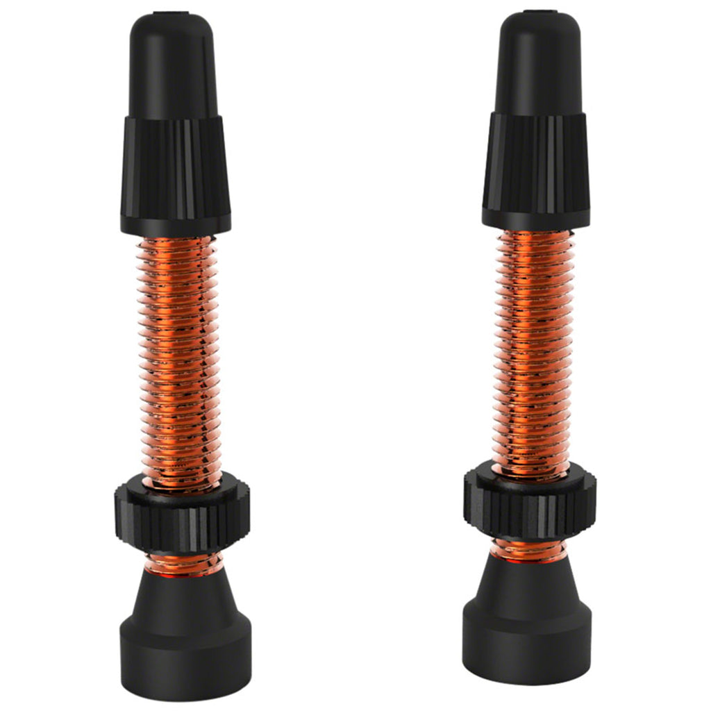 TCS Tubeless Valves