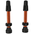 TCS Tubeless Valves