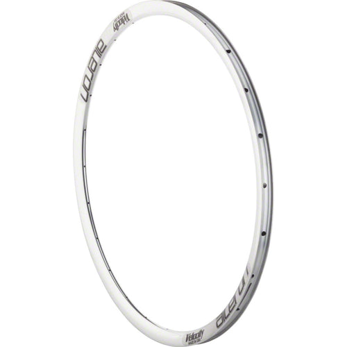Aileron Rim