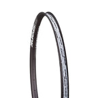 359 Rim - 359 Rim