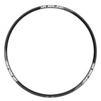 359 Rim - 359 Rim