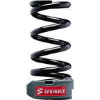 Adjustable Weight Rear Coil Spring