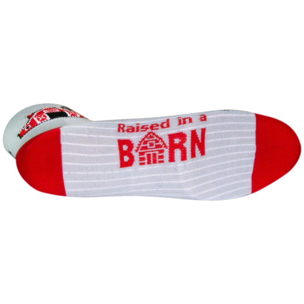 Classic Socks