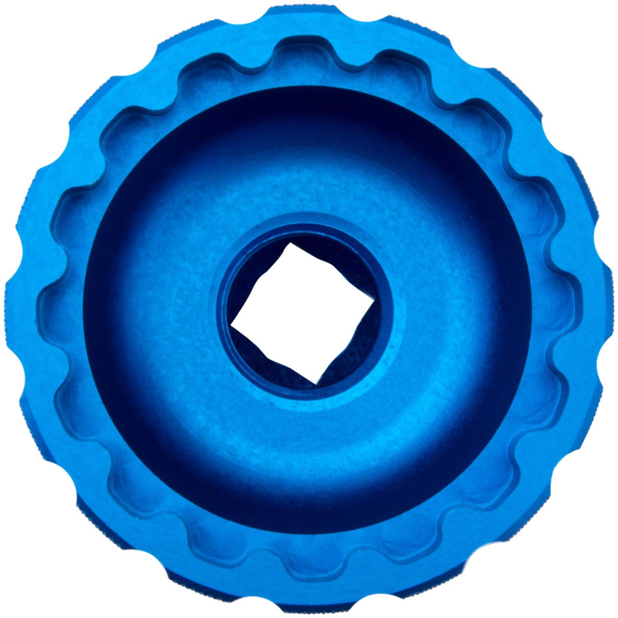 BBT 16 Notch Bottom Bracket Tool