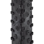 Racing Ray Tire