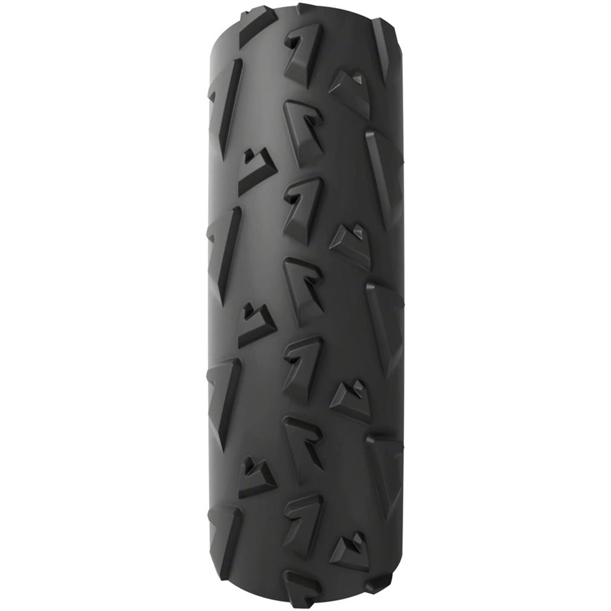 A Dugast Rhino Tire