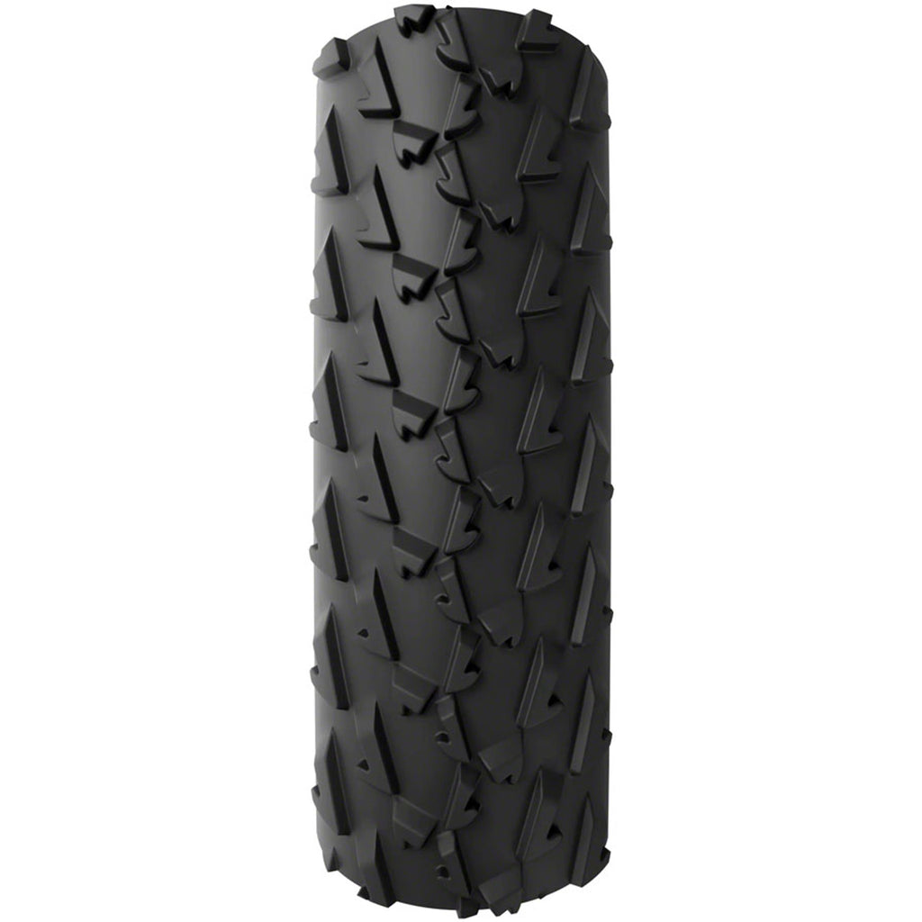 A Dugast Small Bird Tire
