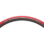 Zaffiro Pro Home Trainer