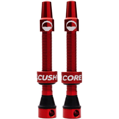 Tubeless Presta Valve Set
