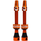 Tubeless Presta Valve Set