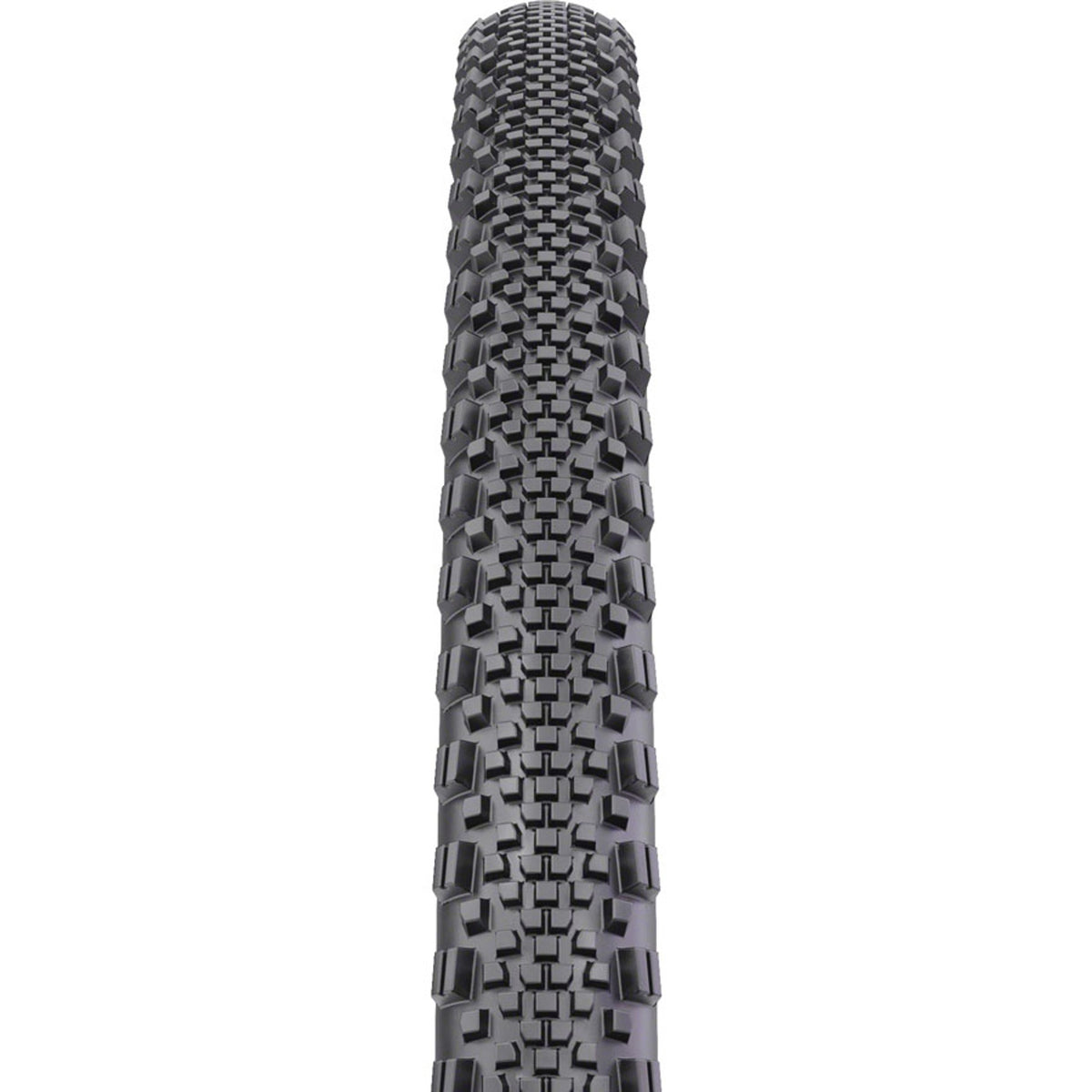 Raddler Tire