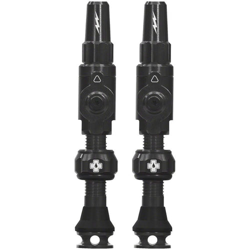 Big Bore Lite Tubeless Valve Stems