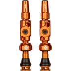 Big Bore Lite Tubeless Valve Stems