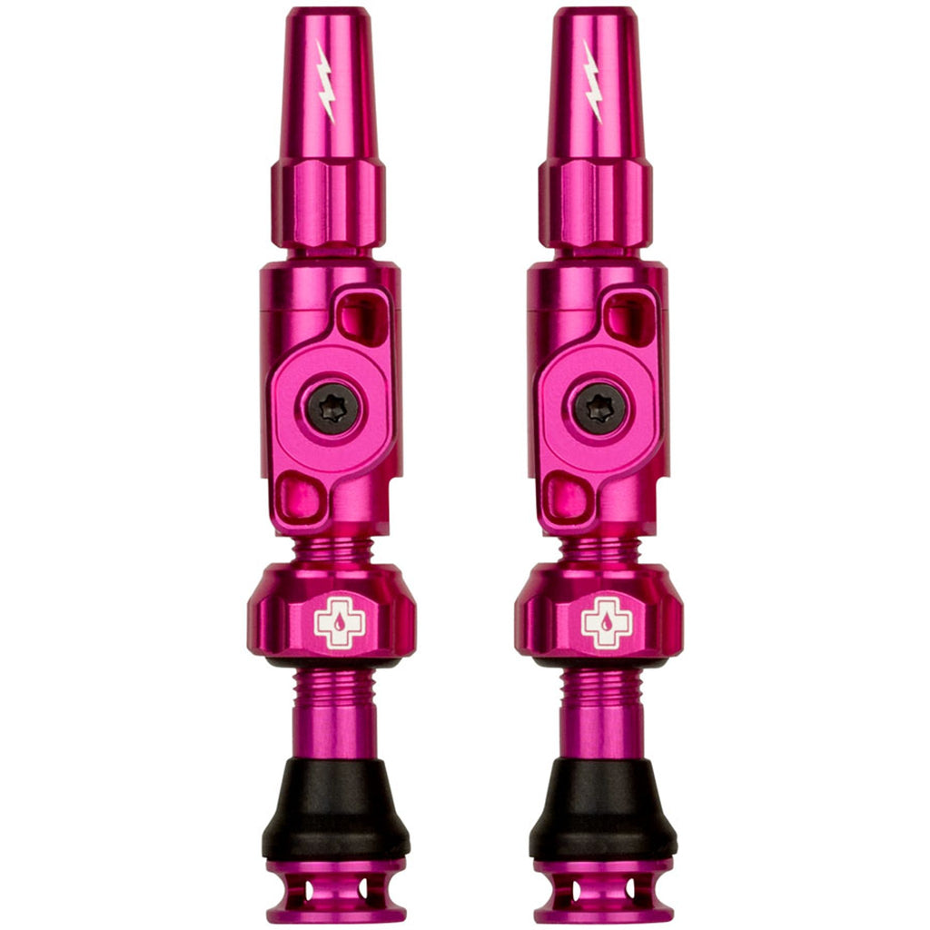 Big Bore Lite Tubeless Valve Stems