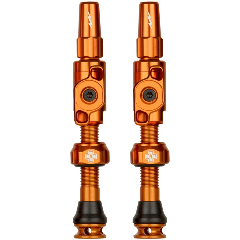 Big Bore Lite Tubeless Valve Stems