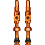 Big Bore Lite Tubeless Valve Stems