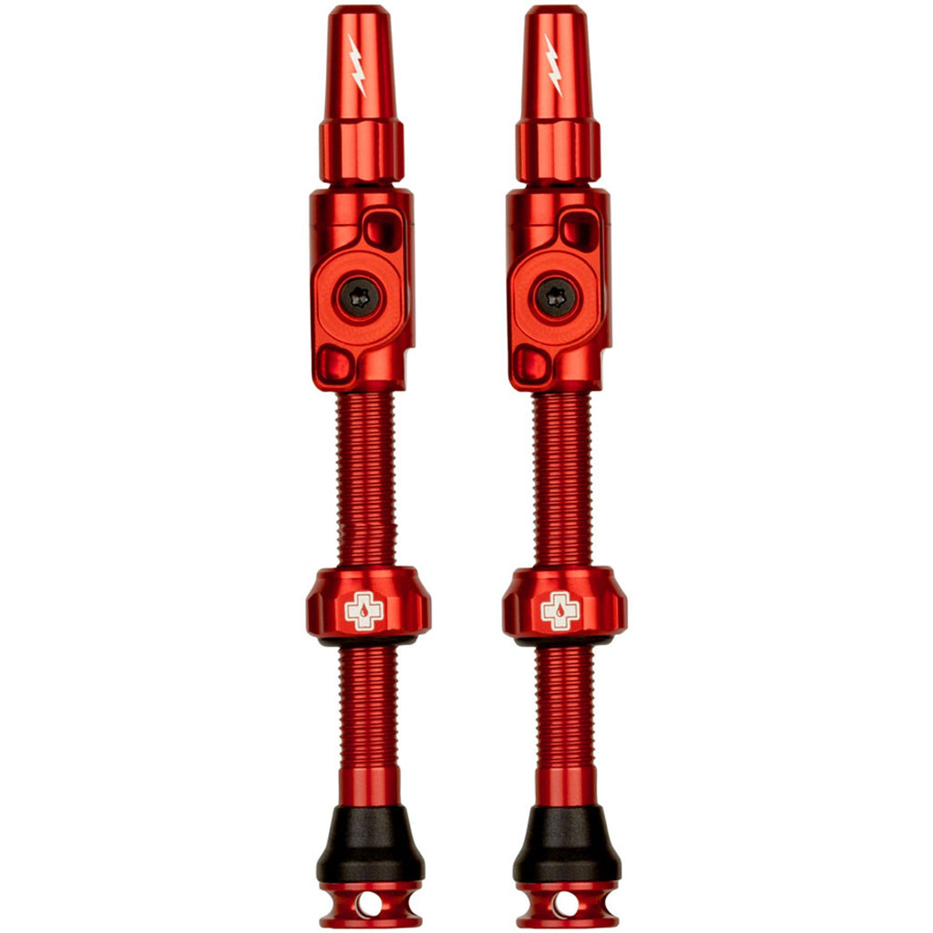 Big Bore Lite Tubeless Valve Stems