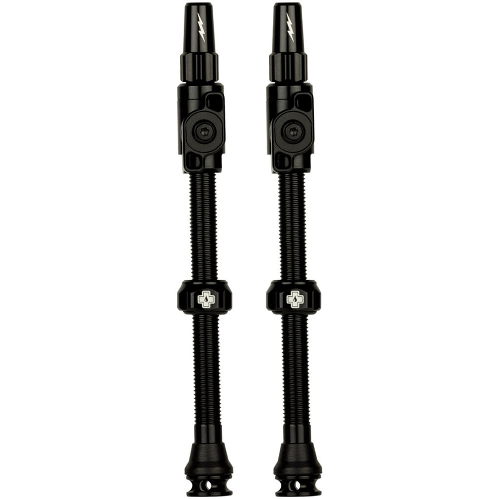 Big Bore Lite Tubeless Valve Stems