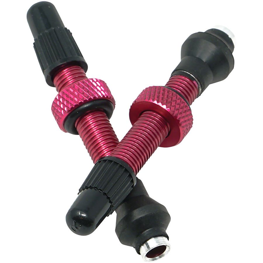 Tubeless Valves
