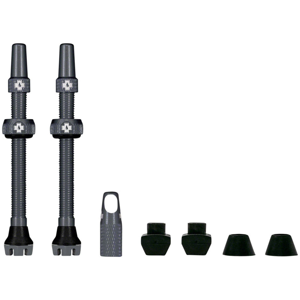 V2 Tubeless Valve Kit