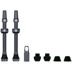 V2 Tubeless Valve Kit