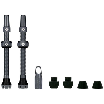 V2 Tubeless Valve Kit