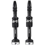 Quickfill Plasma Tubeless Valves